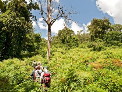 mahale national park
