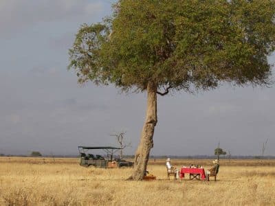 mikumi national park