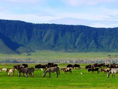 ngorongoro crater