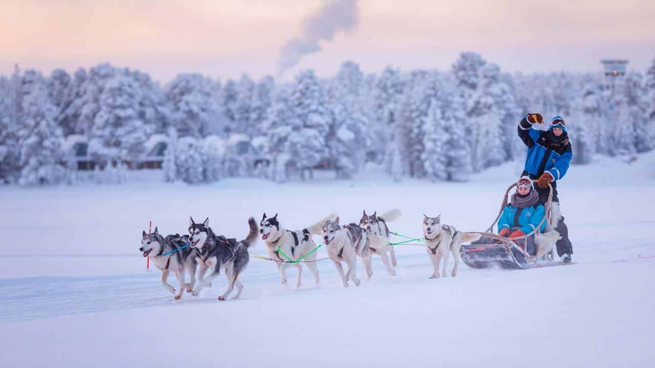 husky safari ivalo husky safari ivalo