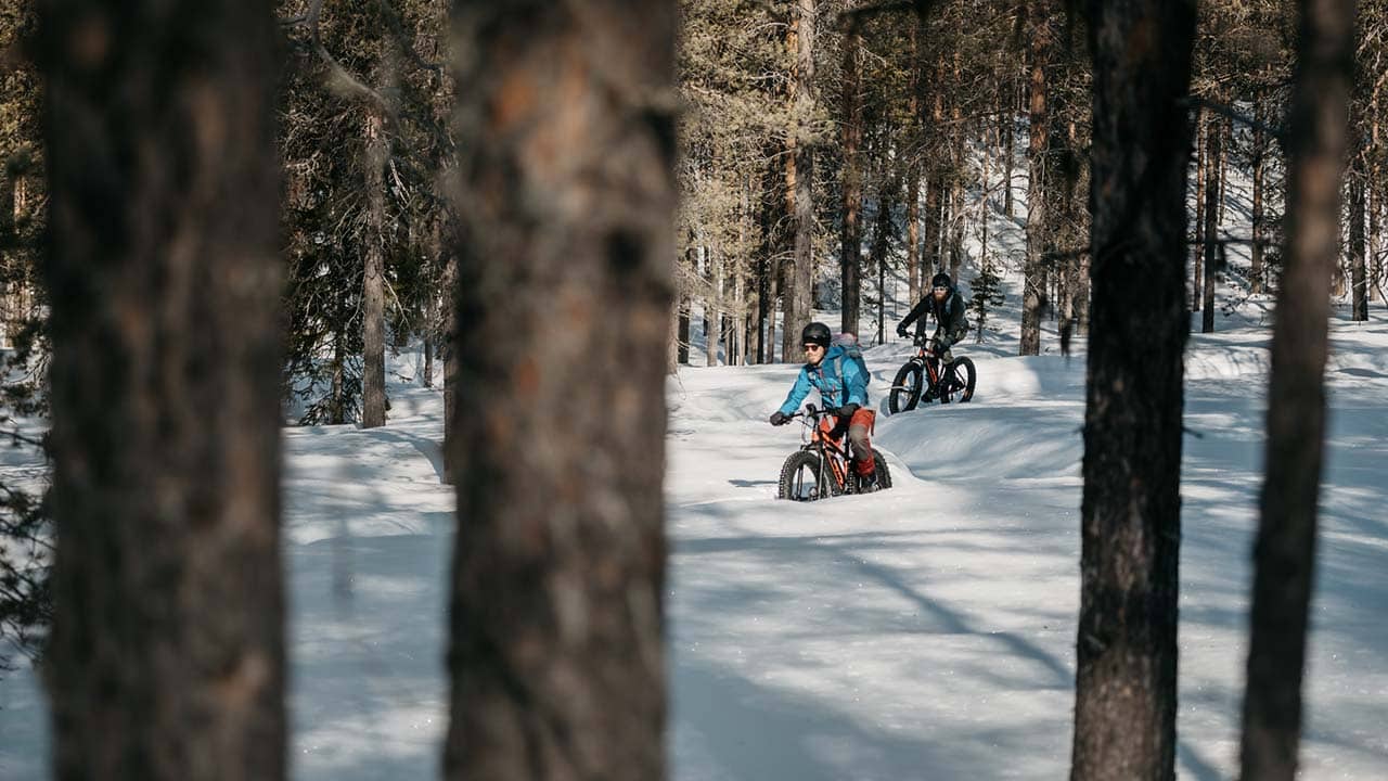 rovaniemi bici elettriche bici elettriche nella foresta innevata a rovaniemi