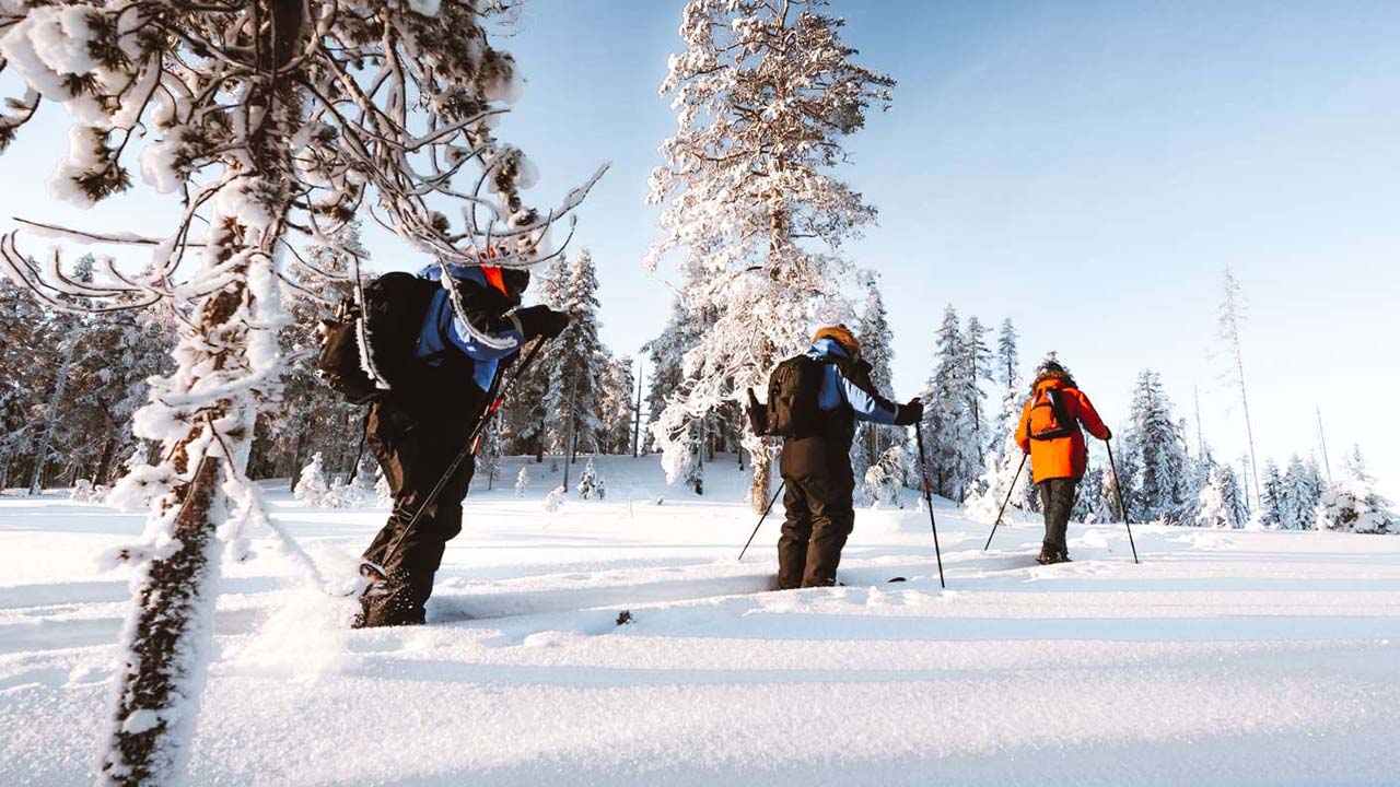 ski trek rovaniemi ski trek rovaniemi