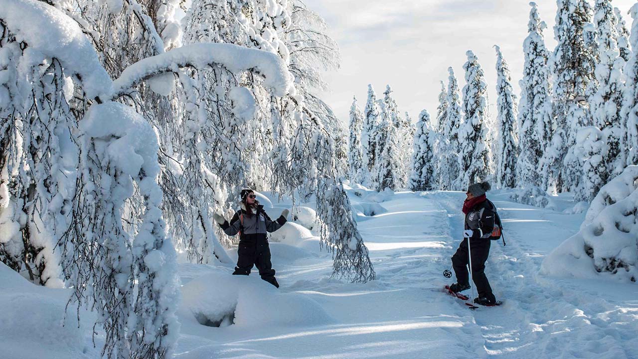 snowshoeing-rovaniemi con le ciaspole nella foresta di rovaniemi