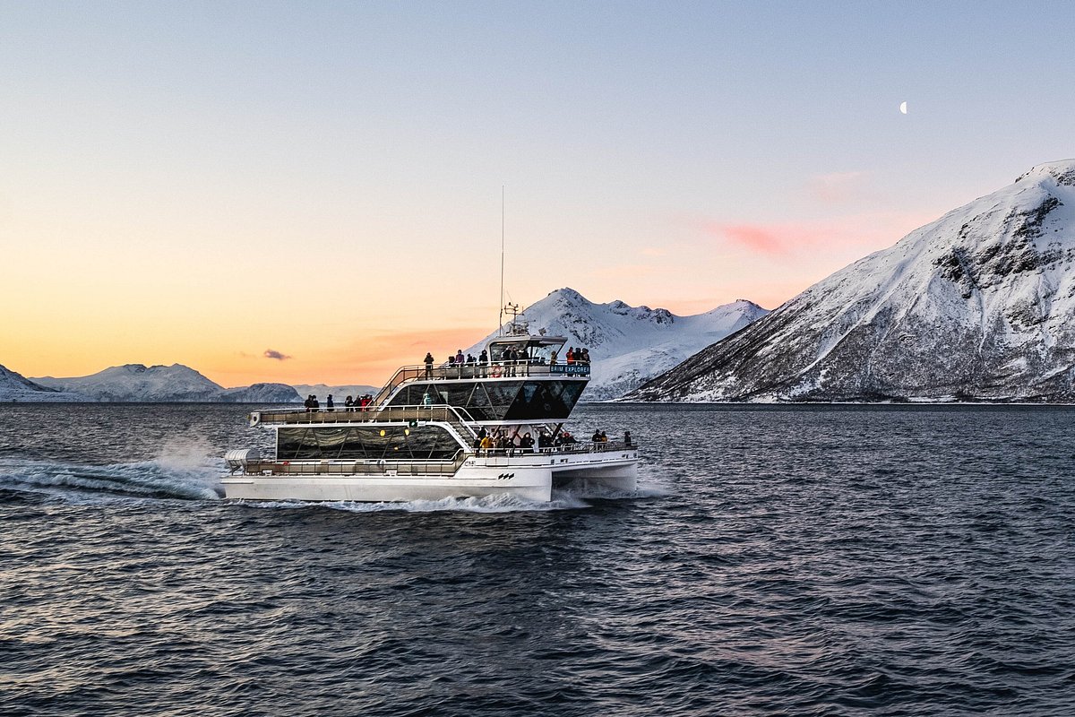 brim explorer tromso catamarano della brim explorer al largo di tromso