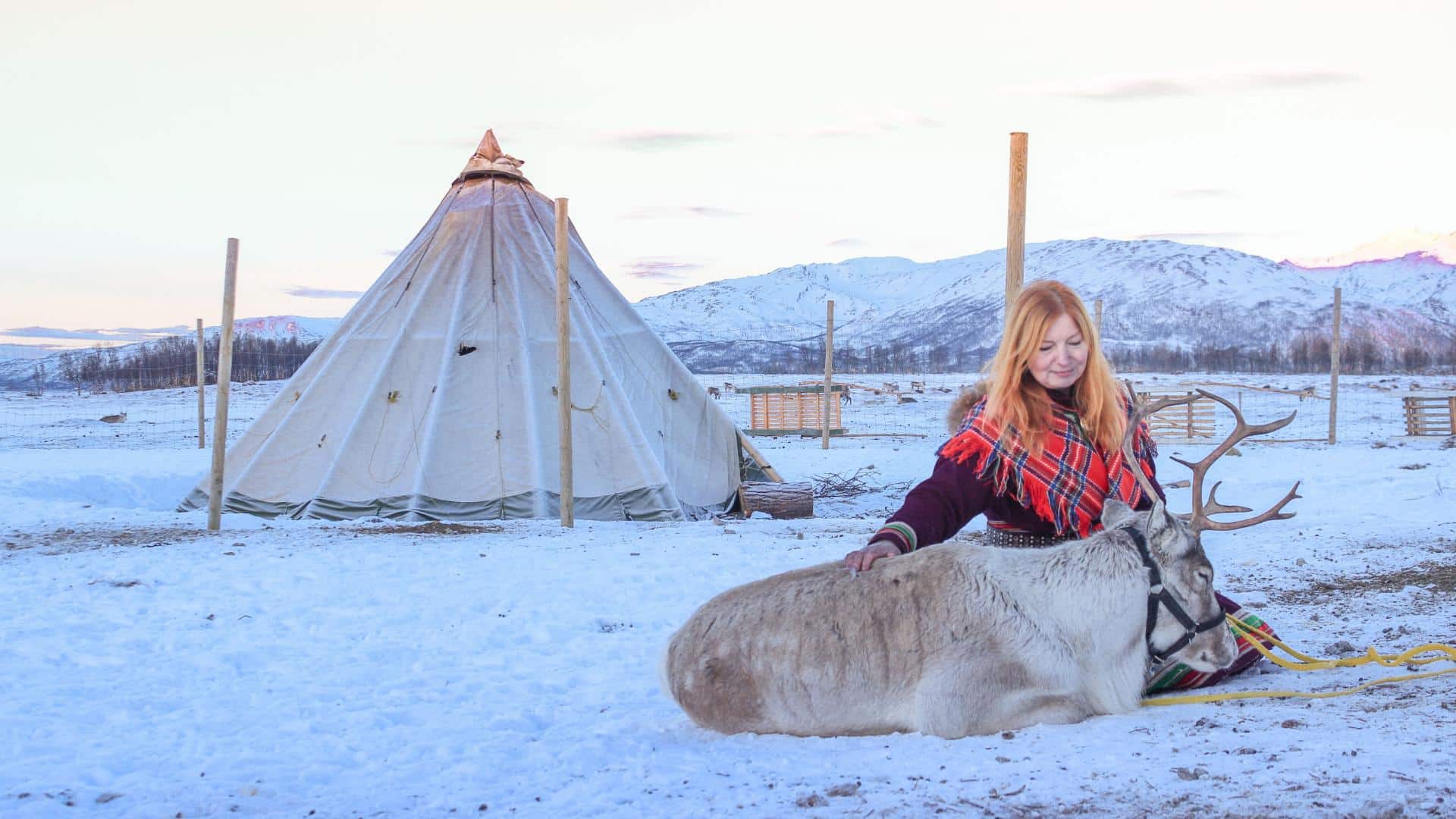 evening-at-sami-camp-reindeer-feeding-in-tromso-tromso-arctic-reindeer-hero ragazza accarezza una renna nel sami camp vicino tromso