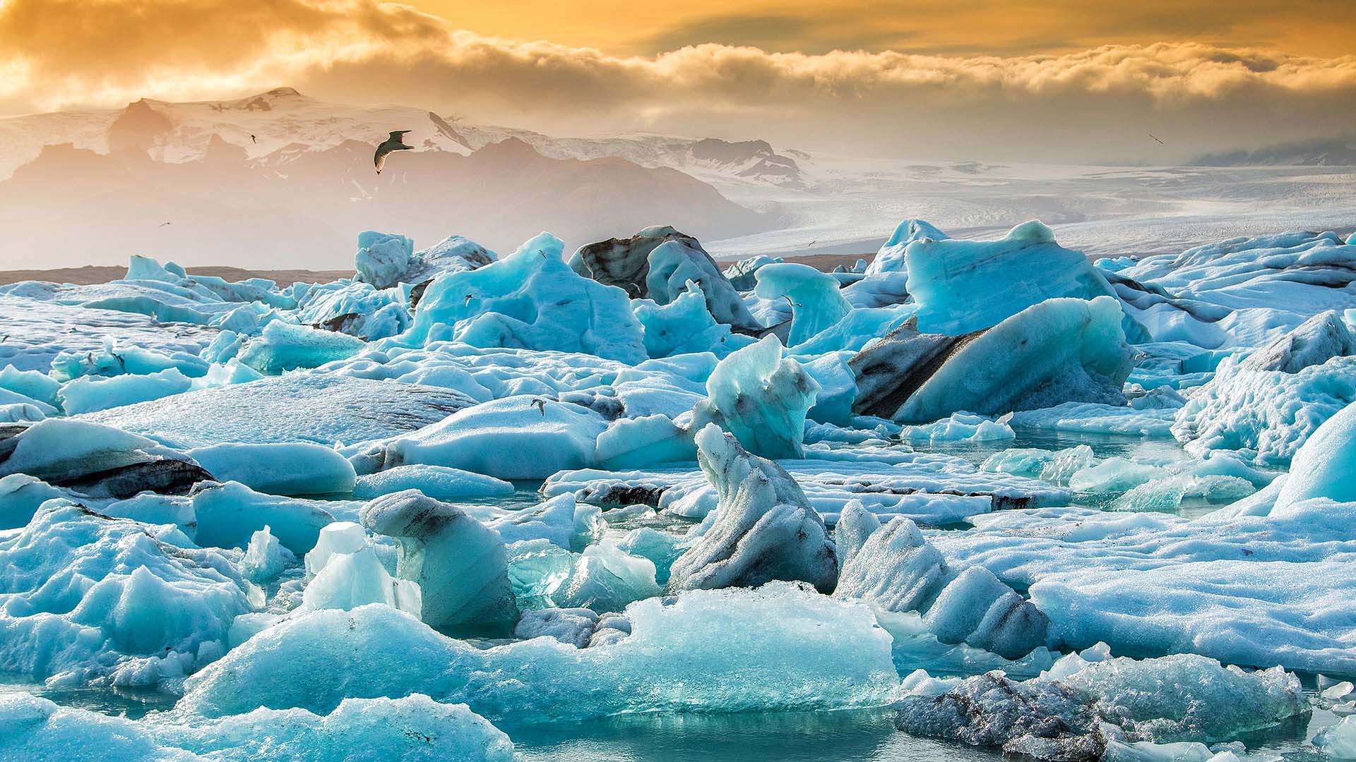 joekulsarlon-glacier-lagoon-ice la laguna degli iceberg di Jökulsárlón