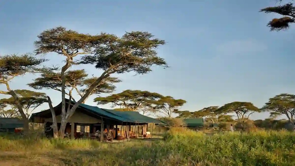 luxury camping safari luxury camping safari in tanzania