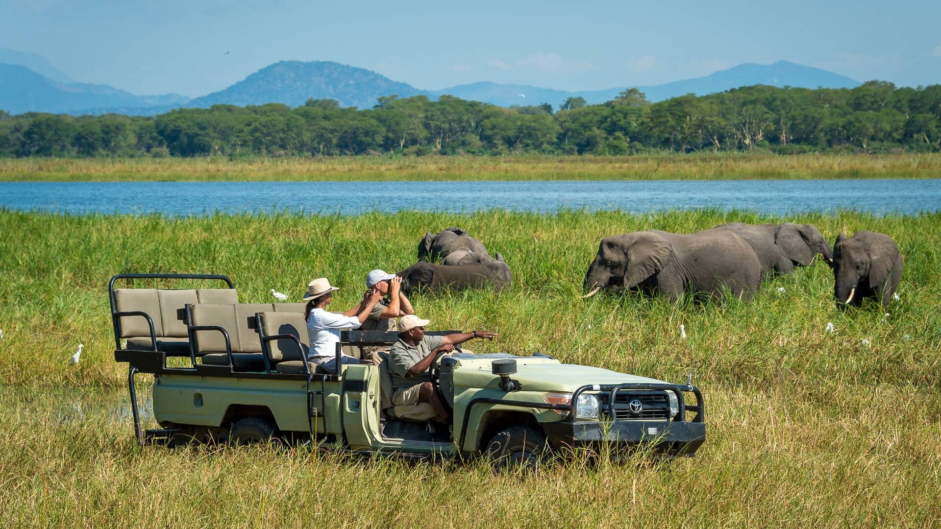 malawi-safari-liwonde-national-park safari in jeep ed elefanti nel liwonde national park