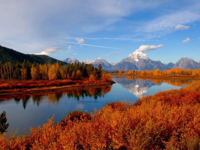 quinta stagione canada